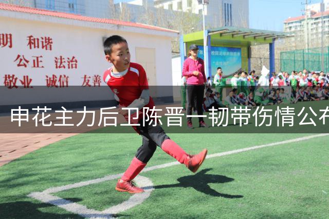 申花主力后卫陈晋一韧带伤情公布 预计休战一个半月